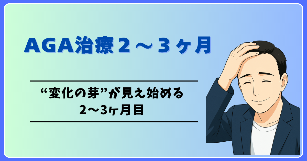 AGA治療2～3ケ月目の変化をまとめた記事のアイキャッチ画像